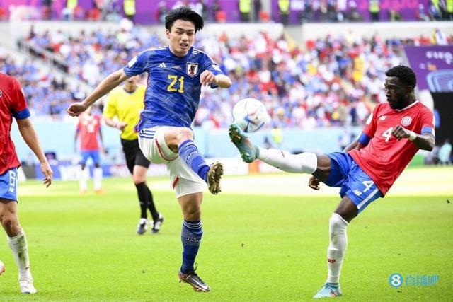 案例分析 案例分析